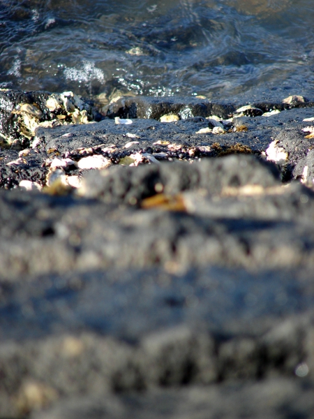 Shoreline
