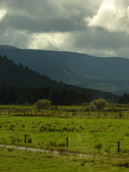 Farmland