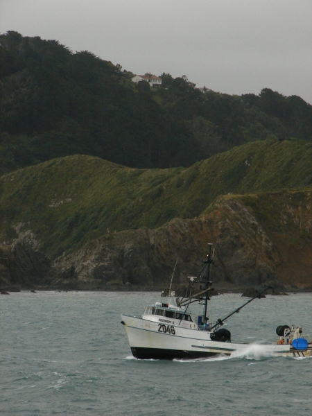 Out to Sea