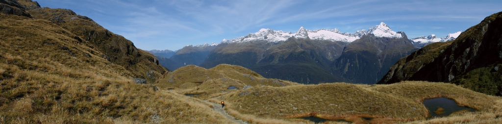 View from Harris Saddle