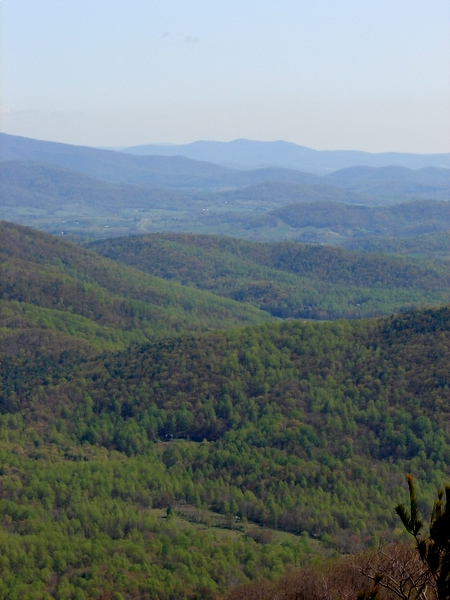 View in the Shenandoahs...
