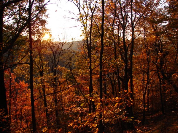 Fall Foliage Revisited