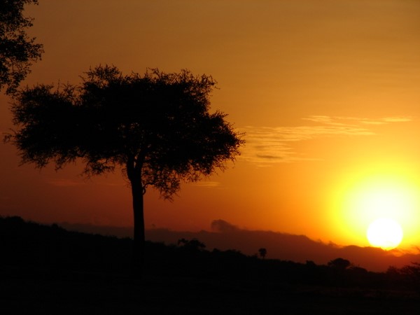 Sunrise